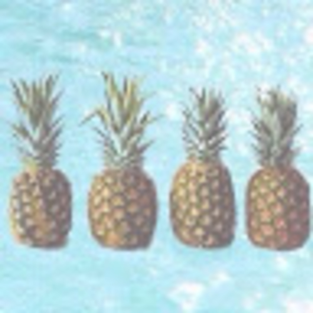 Meet your Posher, Kavitha - Picture 1 of 1